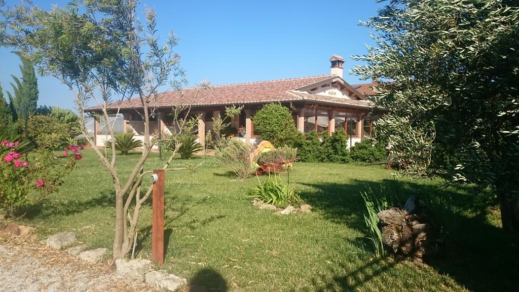 La Piana Di Alsium Villa Ladispoli Eksteriør bilde